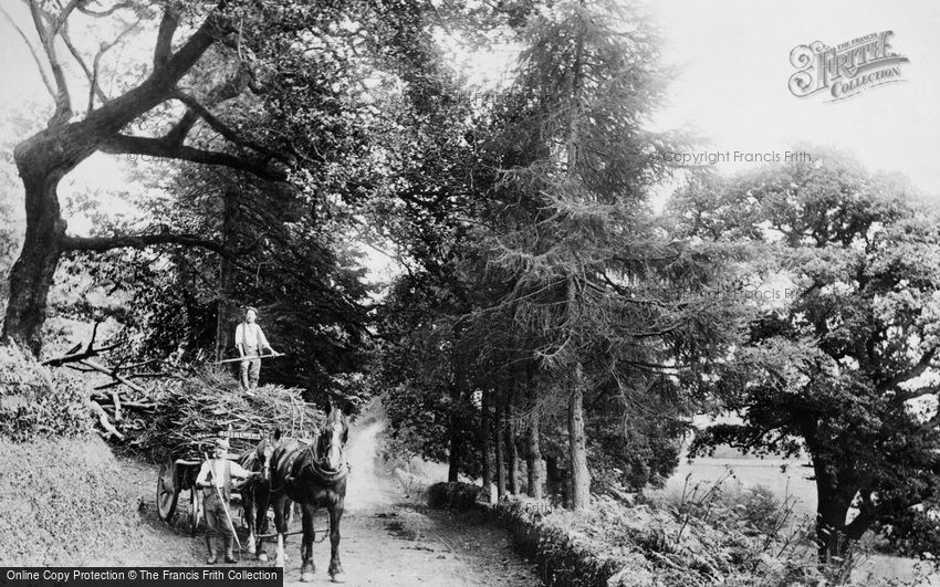 Lostwithiel, on the road to Restormel House 1906