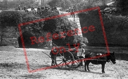 Pony And Cart By The Bridge 1892, Lostwithiel