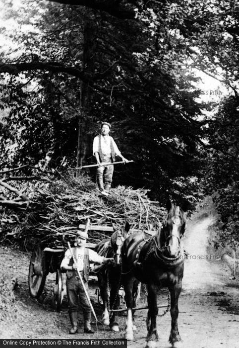 Photo of Lostwithiel, Working Men And Horse 1906