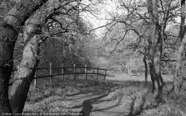 Photo of Loughborough, Bluebell Woods 2005