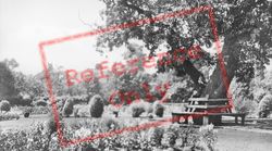 Parc Williams c.1955, Loughor