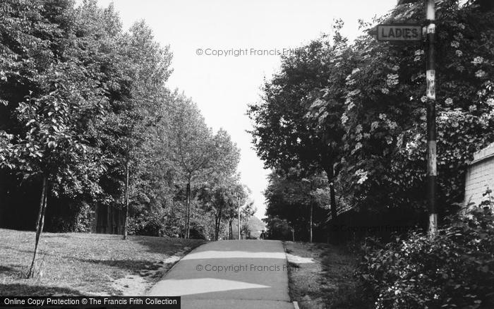 Photo of Loughton, Brook Patch c.1955