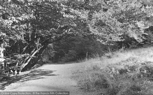 Photo of Loughton, Epping Forest c.1955