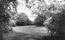 Epping Forest c.1955, Loughton