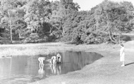 Goldings Hill Pond c.1955, Loughton
