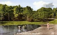 Goldings Hill Pond c.1955, Loughton