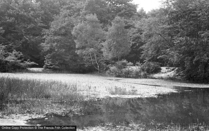 Photo of Loughton, Loughton Pond c.1955