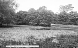 Loughton Pond c.1955, Loughton