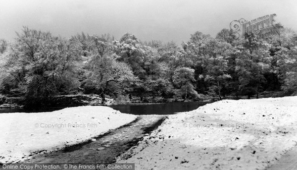 Loughton, Winter In Epping Forest c.1960