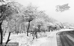 Winter In Epping Forest c.1960, Loughton