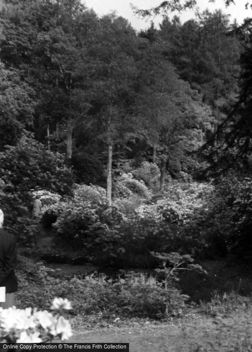 Photo of Lower Beeding, Leonardslee c.1960