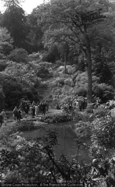 Photo of Lower Beeding, Leonardslee c.1960