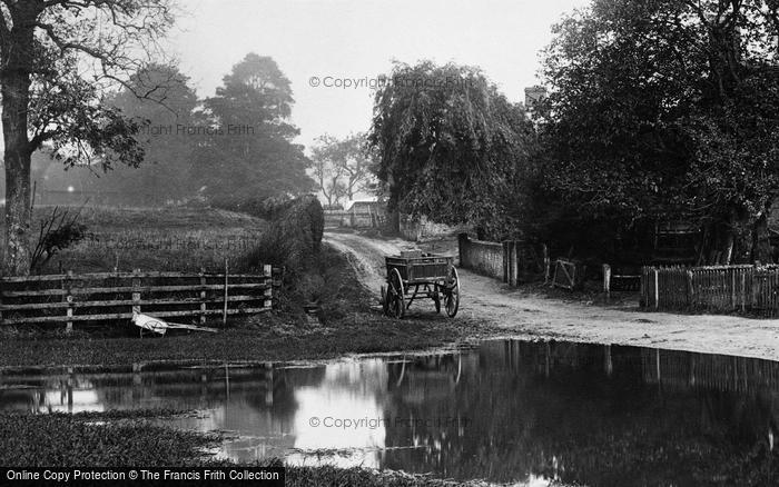 Photo of Lower Froyle, Wooden Carts By The Pond 1907