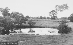 The Pond c.1955, Lower Peover
