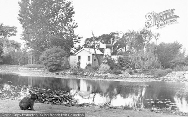 Photo of Lower Weare, Ambleside Tea Garden c.1955