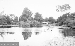 Ambleside Tea Gardens c.1955, Lower Weare