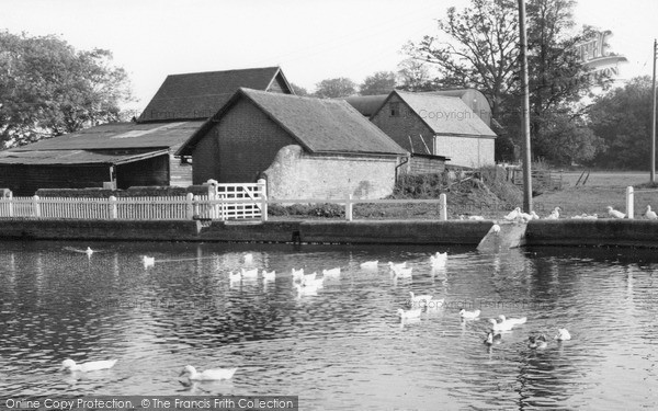 Photo of Loxwood, The Pond c.1960
