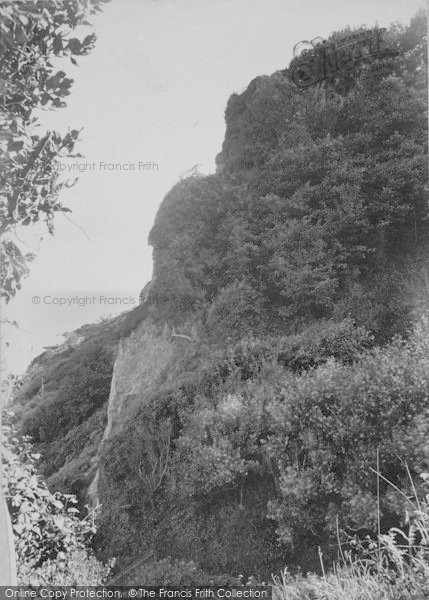 Photo of Luccombe Village, The Chine And Landslip 1913