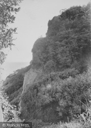 The Chine And Landslip 1913, Luccombe Village