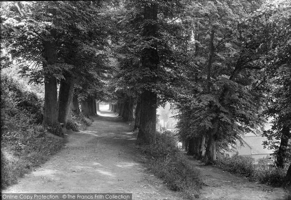 Photo of Ludlow, Castle, Avenue Walk 1910