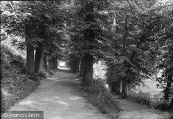 Castle, Avenue Walk 1910, Ludlow
