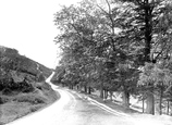 Walk On Whitcliffe 1923, Ludlow