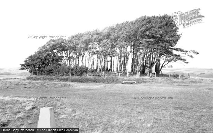 Photo of Ludwell, Win Green c.1955