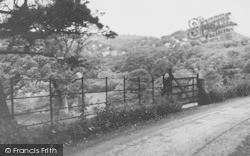 From Manaton Road c.1960, Lustleigh