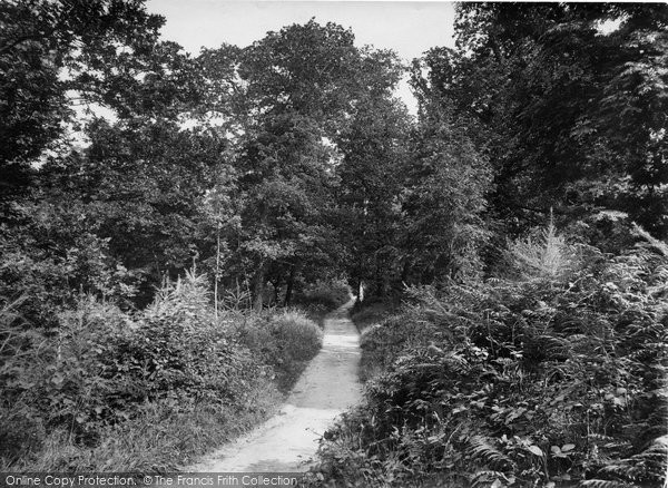 Photo of Lustleigh, Pathway To Cleave 1920