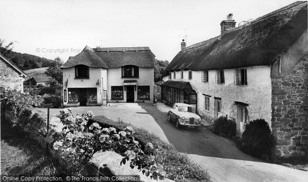 Photo of Lustleigh, Primrose Cottage c.1965