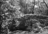 Weir Bridge 1907, Lustleigh