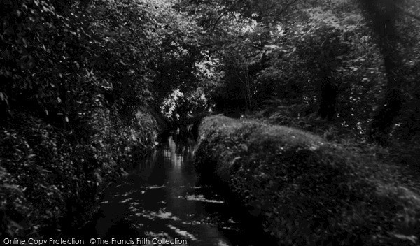 Photo of Luxulyan, Riverside Walk c.1960