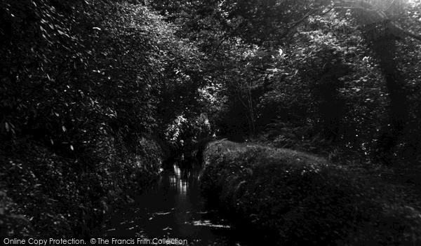 Photo of Luxulyan, Riverside Walk c.1960