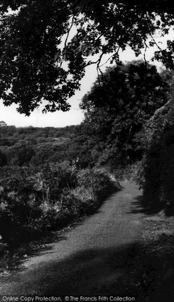 Photo of Luxulyan, Valley Road c.1960
