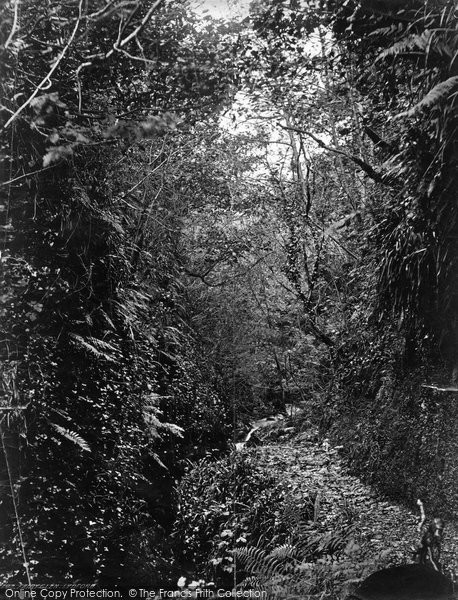 Photo of Lydford, Fairy Glen c.1874