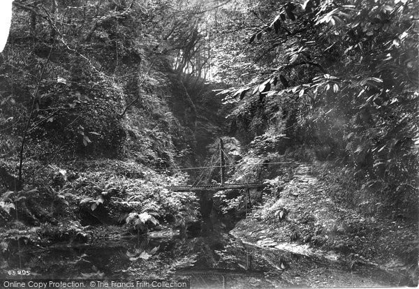 Photo of Lydford, Footbridge In Gorge 1913