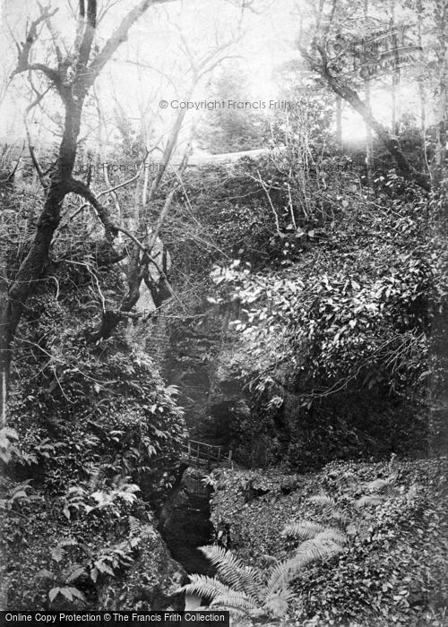 Photo of Lydford, Gorge 1906