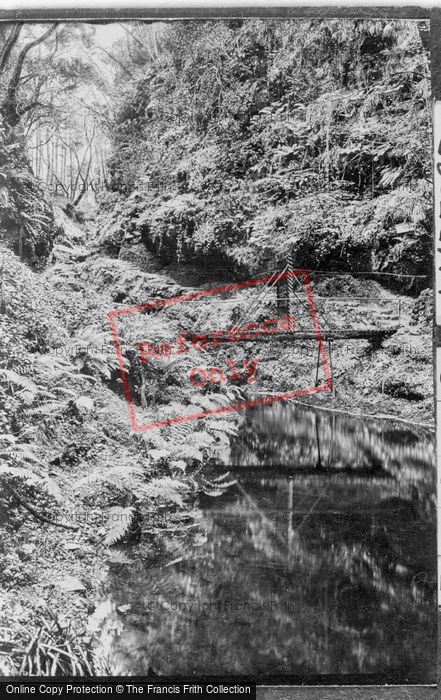 Photo of Lydford, Gorge, Footbridge 1922