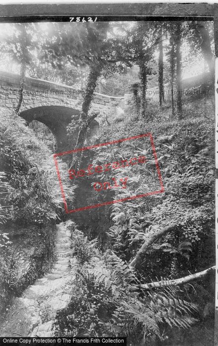 Photo of Lydford, Gorge, New Bridge 1925