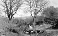 Hall Farm 1906, Lydford