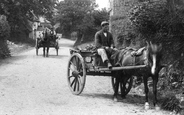 Horse And Cart 1906, Lydford