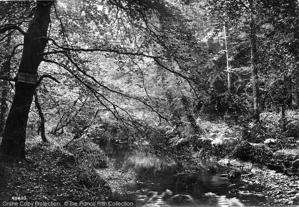 Photo of Lydford, View In Gorge 1913