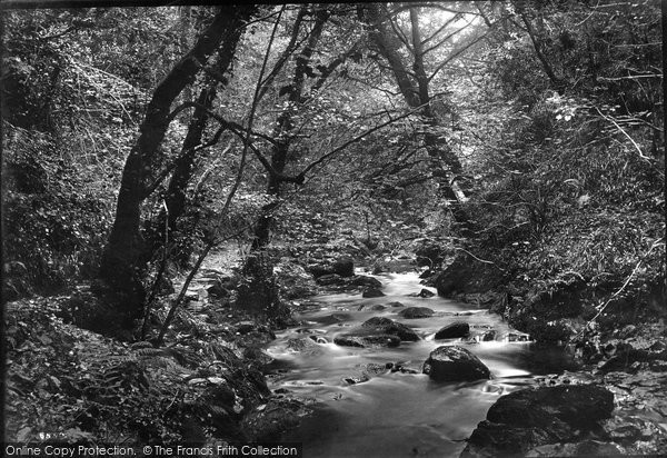 Photo of Lydford, View In Gorge 1913