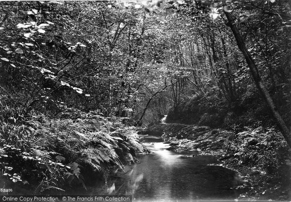 Photo of Lydford, View Near Cascade 1913