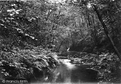 View Near Cascade 1913, Lydford
