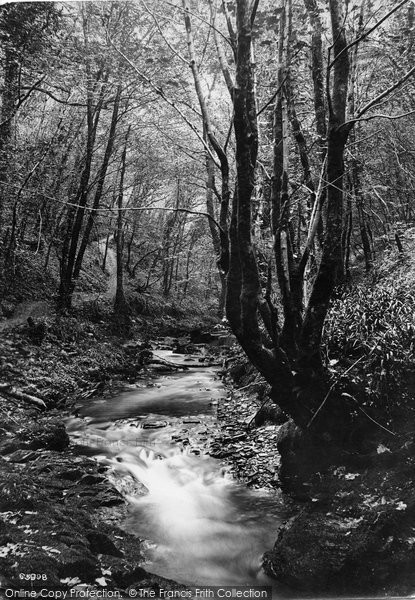 Photo of Lydford, View Near Cascade 1913