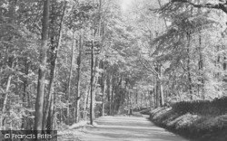 Forest Of Dean c.1960, Lydney