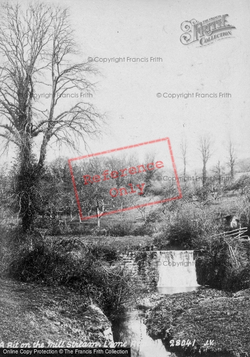 Photo of Lyme Regis, A Bit On The Mill Stream c.1890