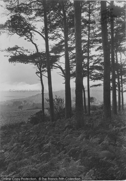 Photo of Lyme Regis, From Charmouth Road 1922