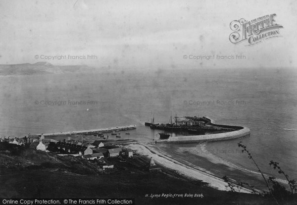 Photo of Lyme Regis, Harbour From Holm Bush c.1891